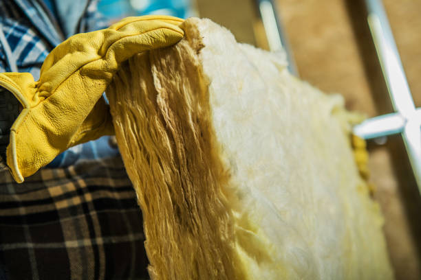 Best Specialized Insulation Services in Randleman, NC