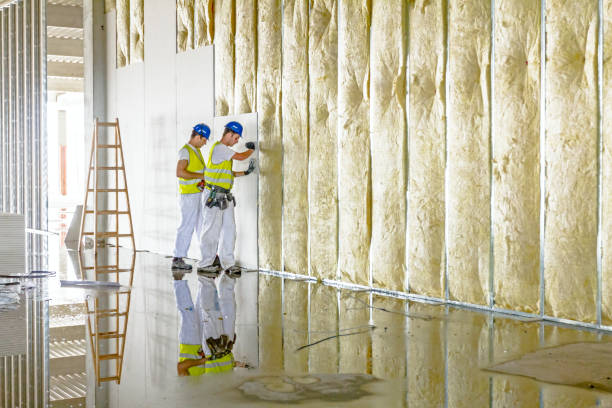 Best Blown-in Insulation in Randleman, NC